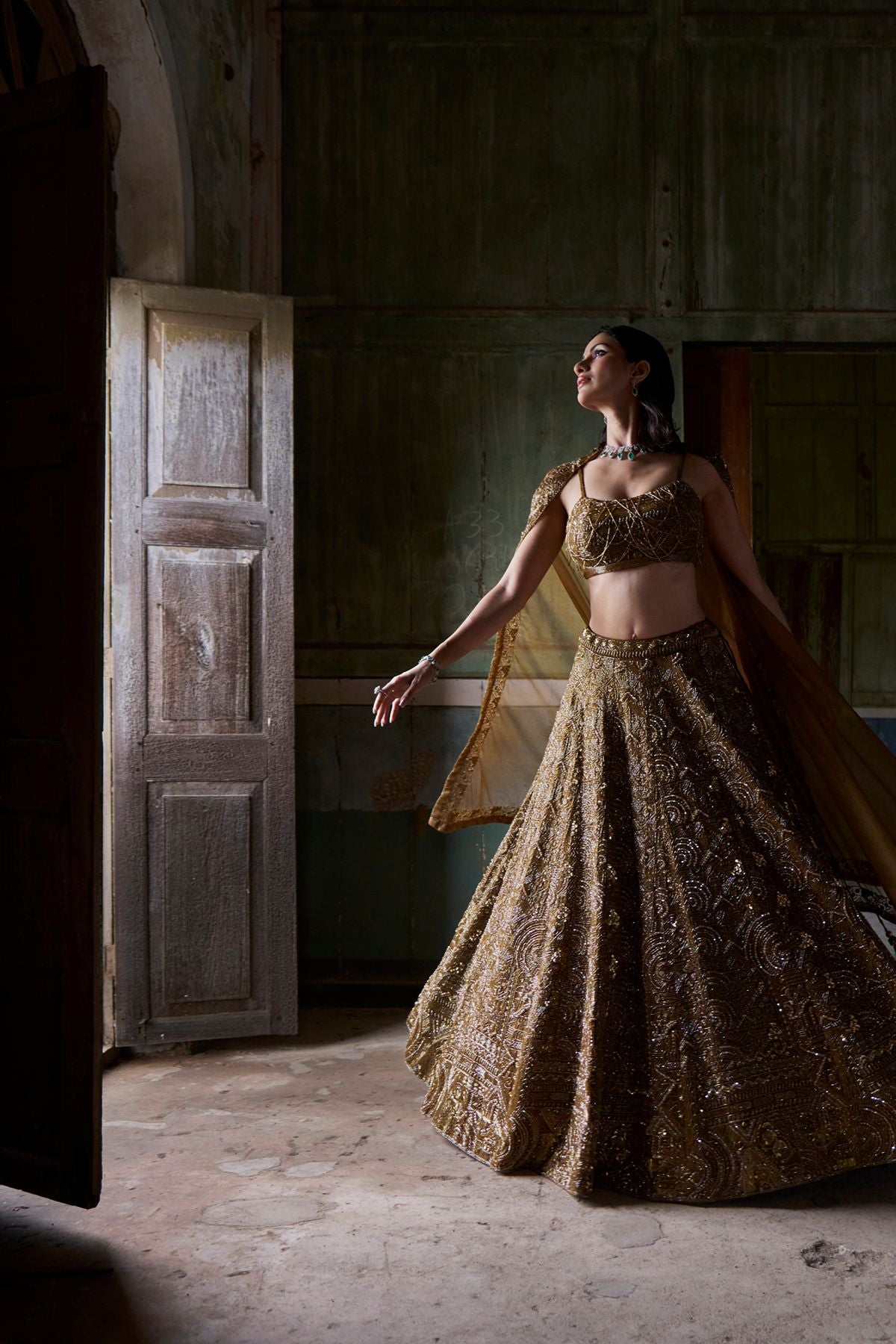 Brown Embellished Lehenga