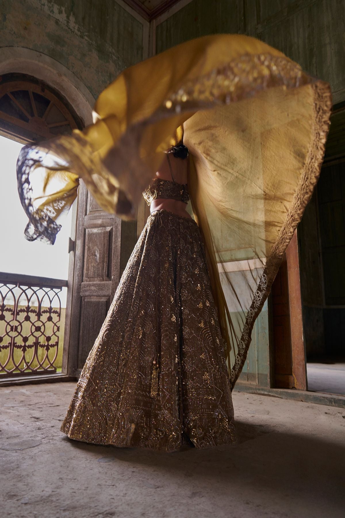 Brown Embellished Lehenga