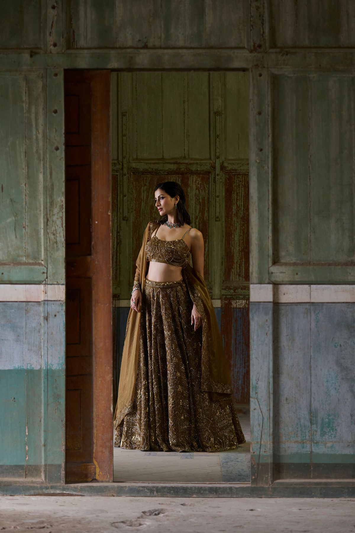 Brown Embellished Lehenga