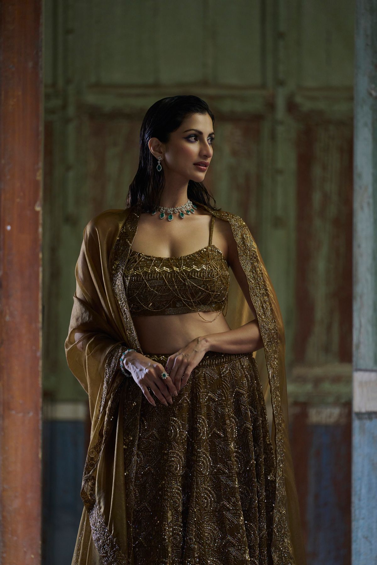 Brown Embellished Lehenga
